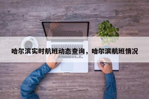 哈尔滨实时航班动态查询，哈尔滨航班情况